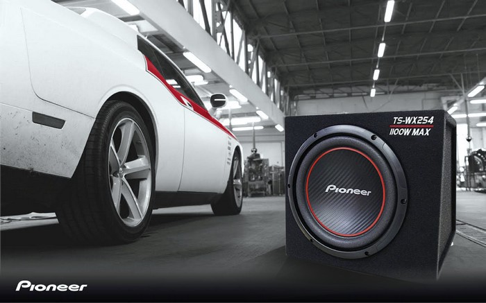 Pioneer TS-WX254